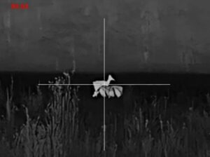 Тепловизионный прицел Pard Pantera 384 Mini PA3M-35/LRF