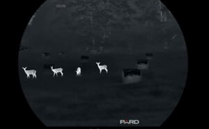Тепловизионный монокуляр Pard Leopard 640 eX LE6E-35/LRF